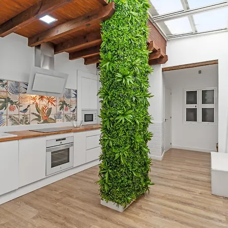 Casa Descaro De Flores *
