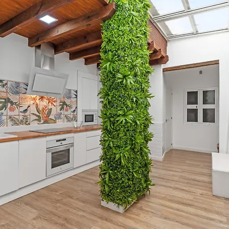 Tatil Evi Casa Descaro De Flores *